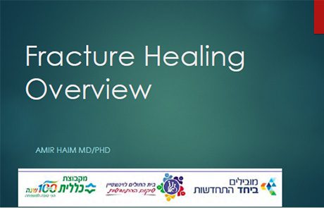 Fracture Healing | AMIR HAIM MD/PhD